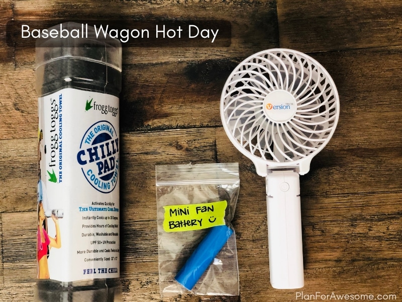 What Should I Bring to a Hot Baseball Game